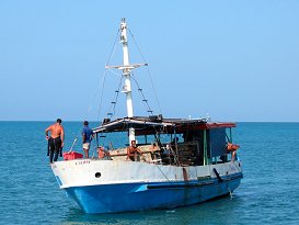 Die Langusten-Fischer von "Plastico 342"